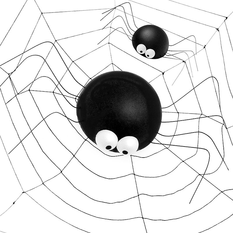 Deko Spinne Titelbild